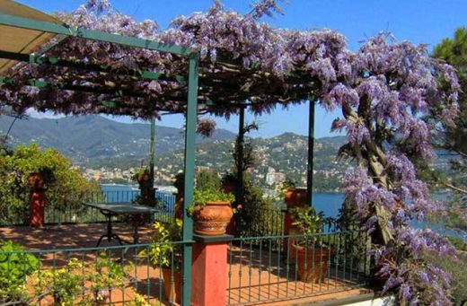 Couvrir une pergola : idées, conseils et astuces de pro