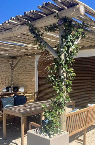 Comment Couvrir Une Pergola