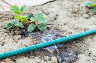 Comment réparer un tuyau d'arrosage